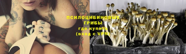 винт Зерноград