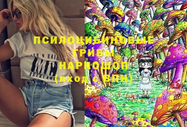 гидра Заволжск